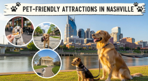 Pet-Friendly Attractions in Nashville: Your Ultimate Guide for a Pawsome Adventure