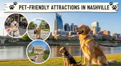 Pet-Friendly Attractions in Nashville: Your Ultimate Guide for a Pawsome Adventure