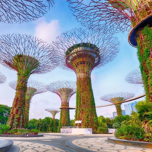 Singapore City Vibes