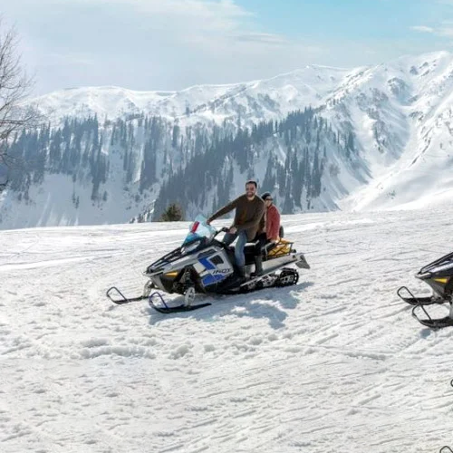 Winter Kashmir - Group Trip