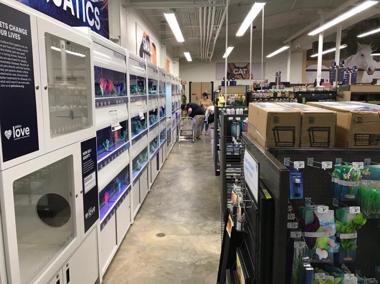 Fish tanks and retail shelves inside of Petco pet store in Mount Sterling, KY.