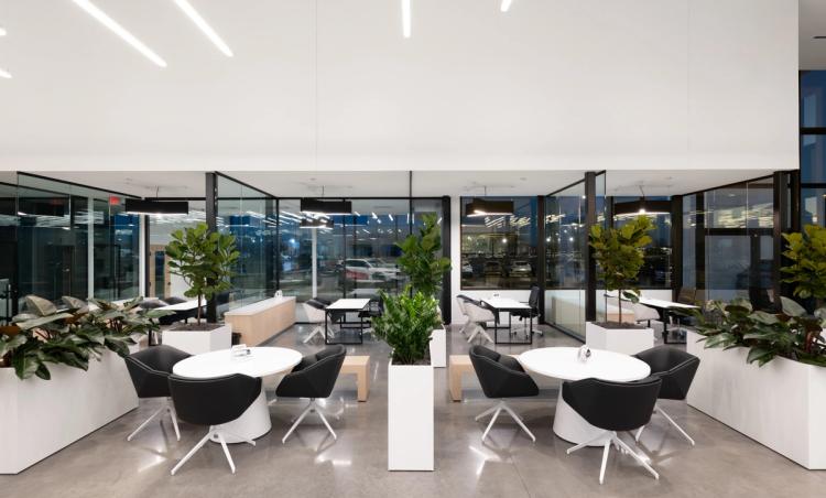 Showroom seating with indoor planters.