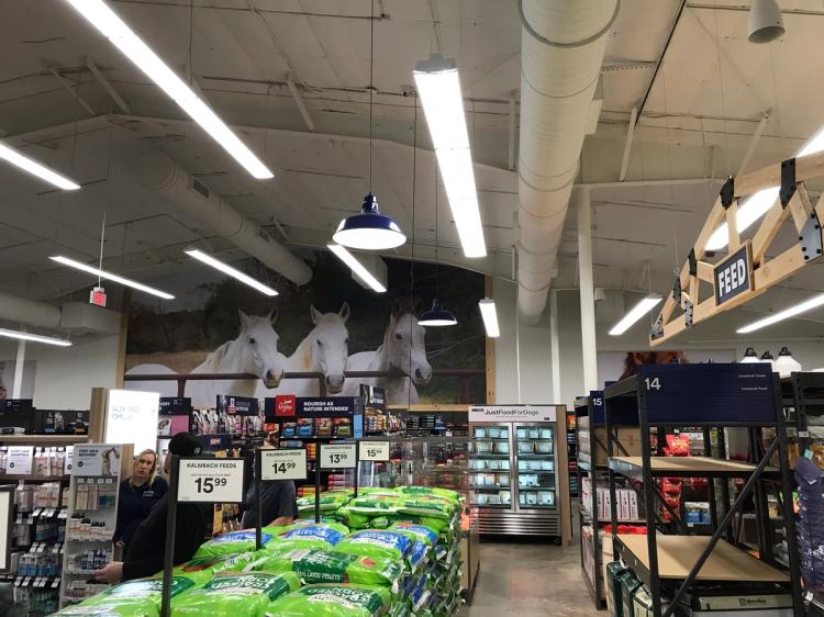 Interior of Petco pet store in Mount Sterling, KY.