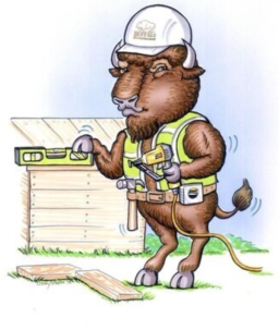 Caricature of Roman the buffalo working on a construction job site.