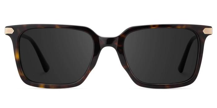 Anteojos Goveo rectangulares — Cromático