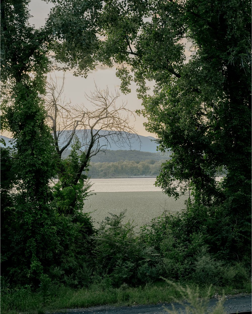 A decorative image from Usal Project