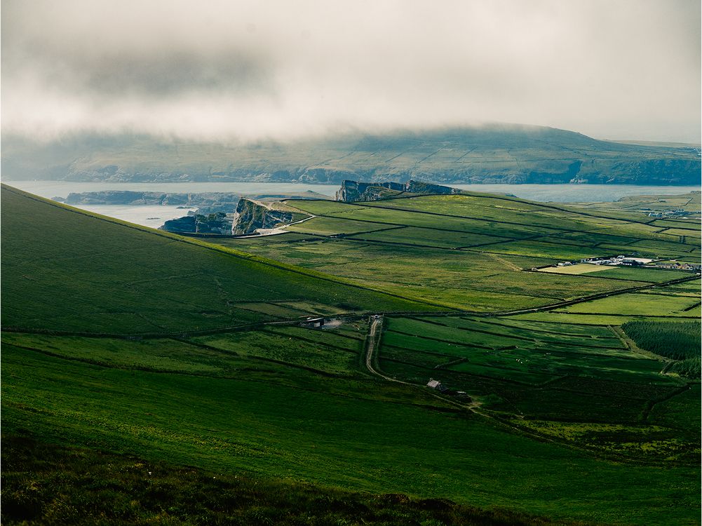 A decorative image from Usal Project