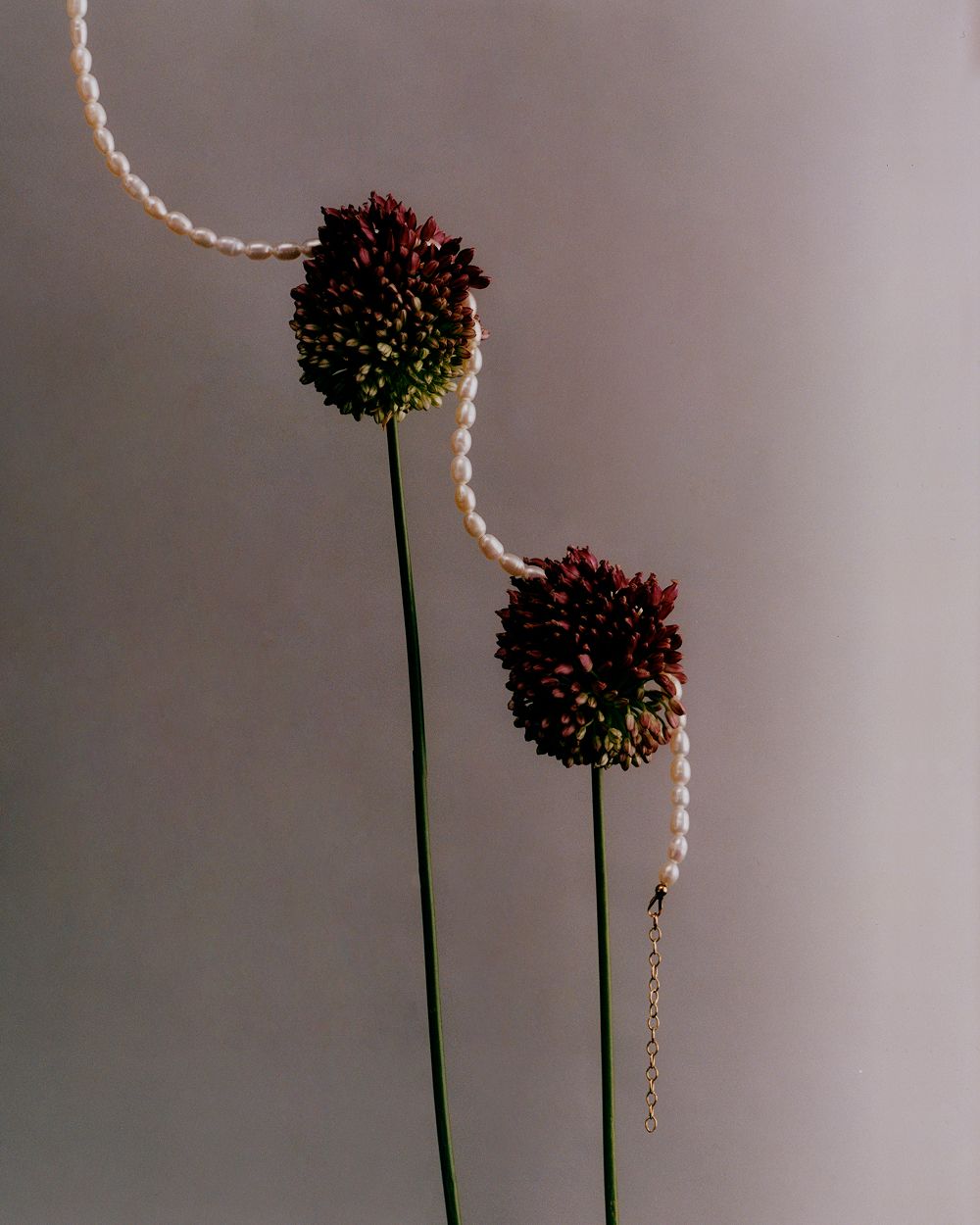 A decorative image from Usal Project