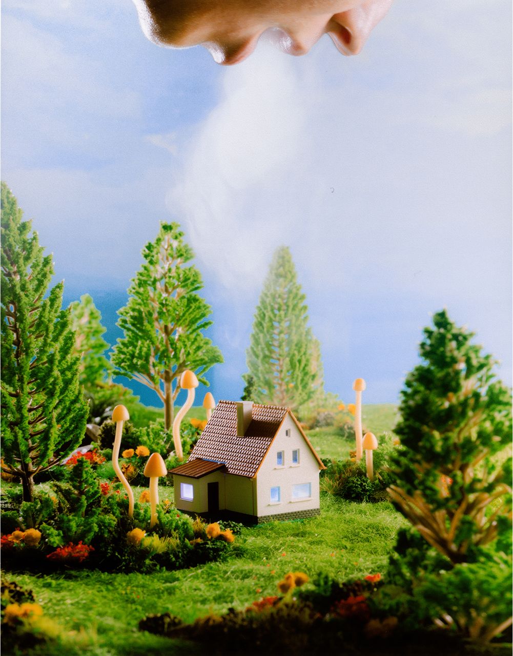 A decorative image from Usal Project