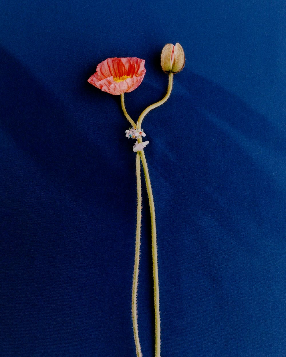 A decorative image from Usal Project