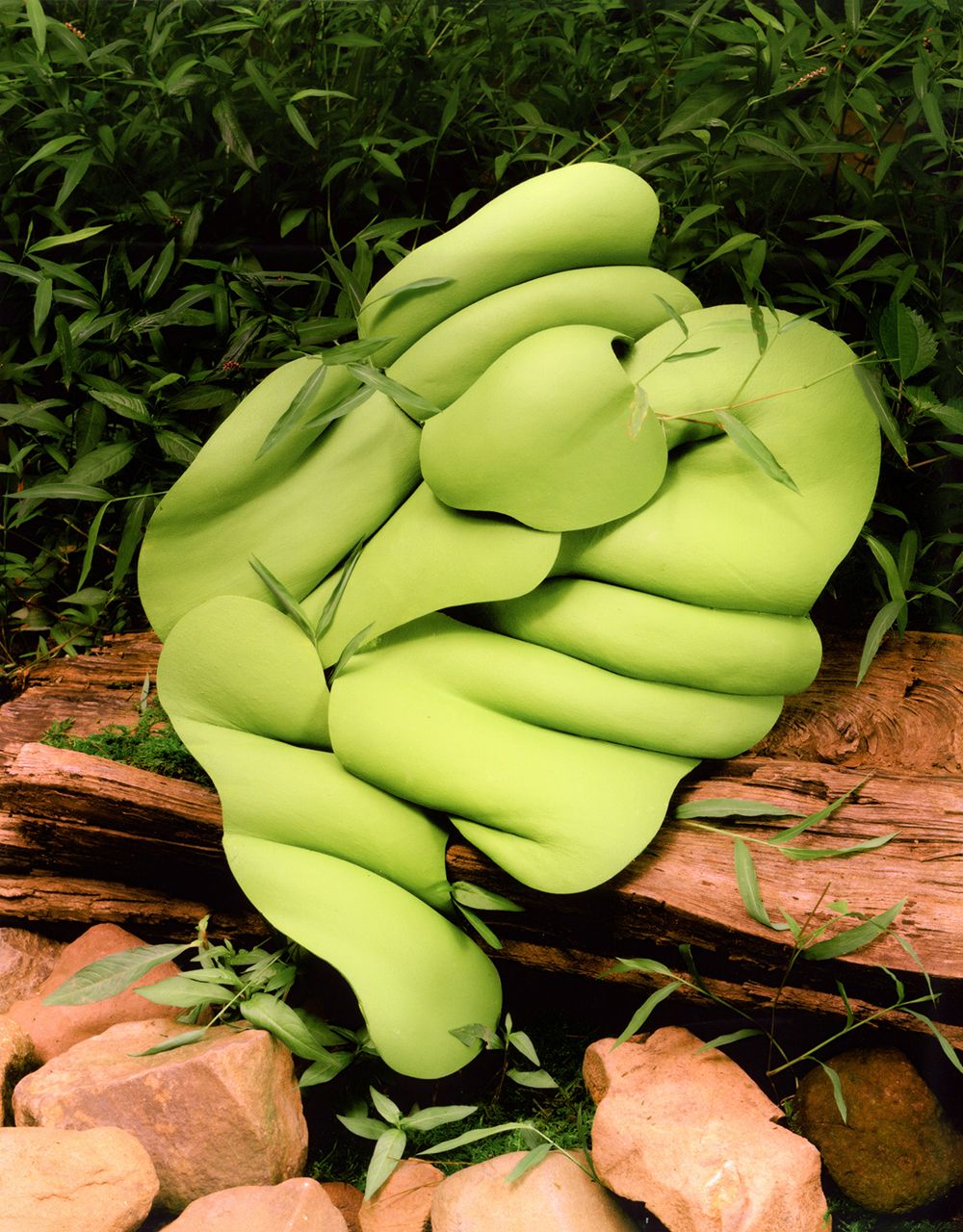 A decorative image from Usal Project