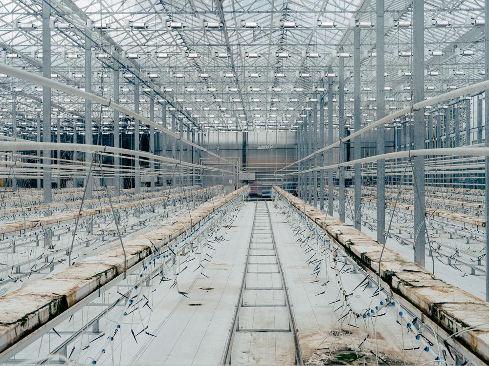 A decorative image from Usal Project