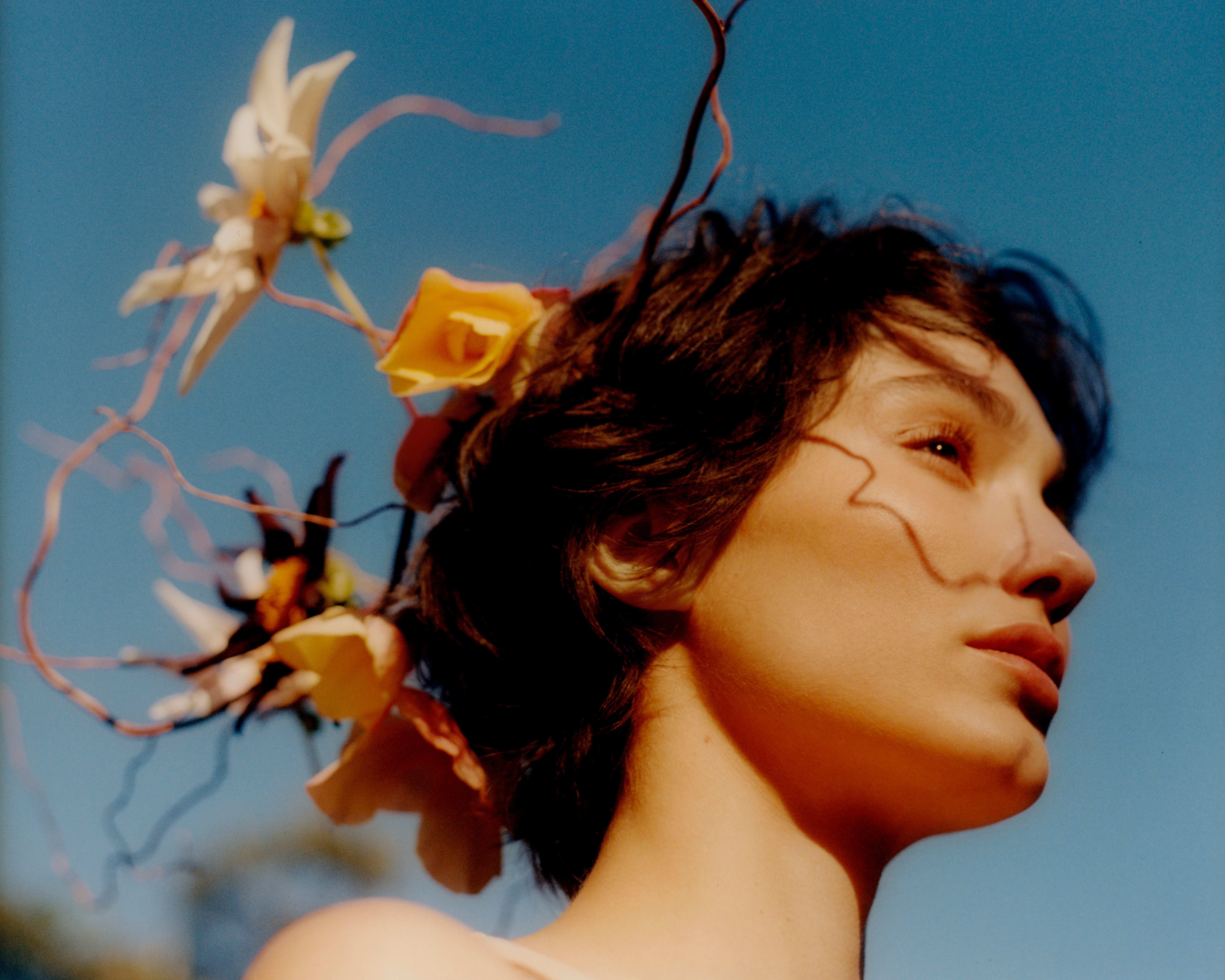 A decorative image from Usal Project