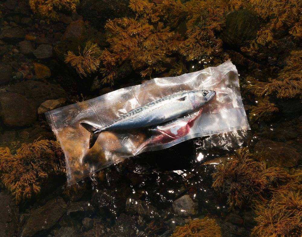 A decorative image from Usal Project