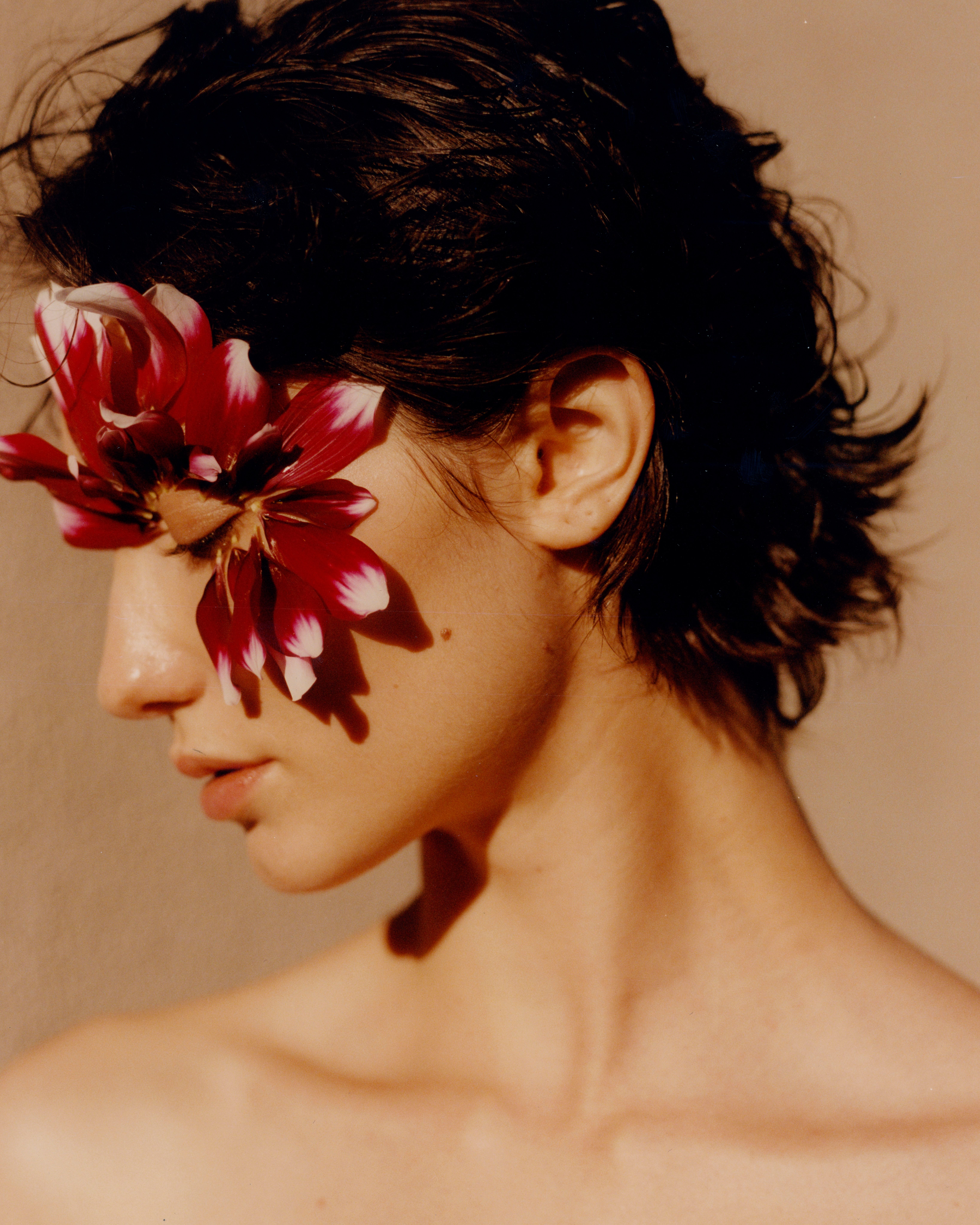 A decorative image from Usal Project