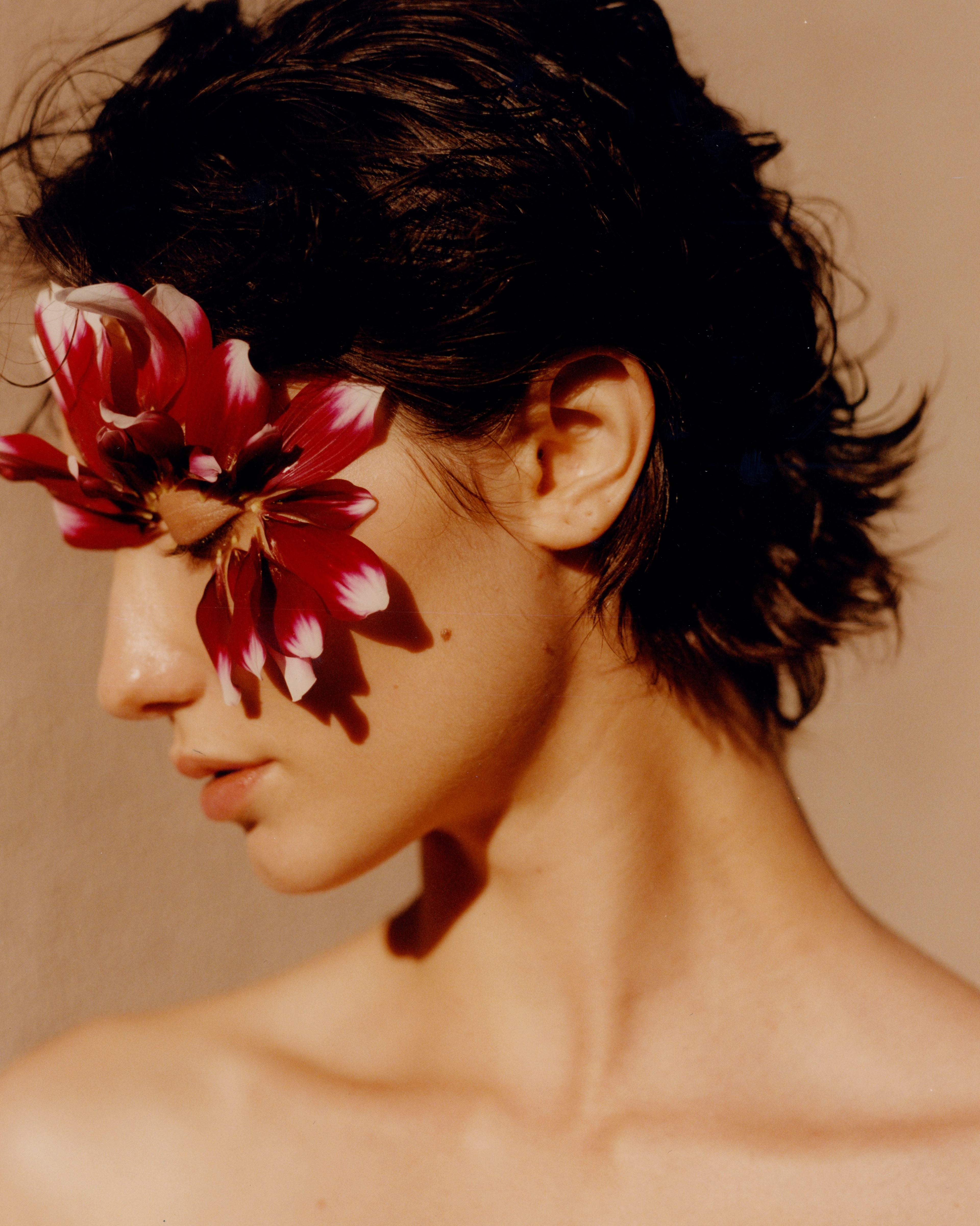 A decorative image from Usal Project