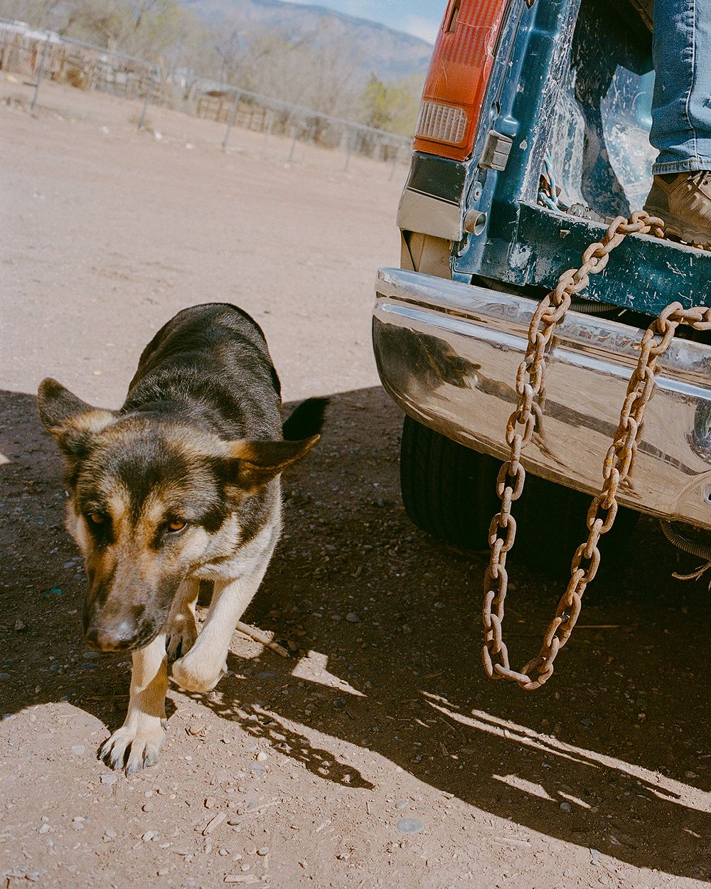 A decorative image from Usal Project