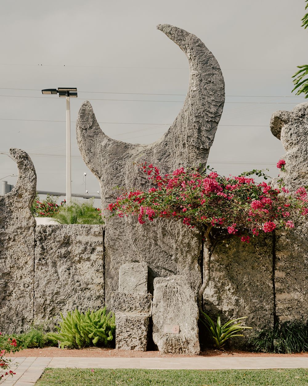 A decorative image from Usal Project