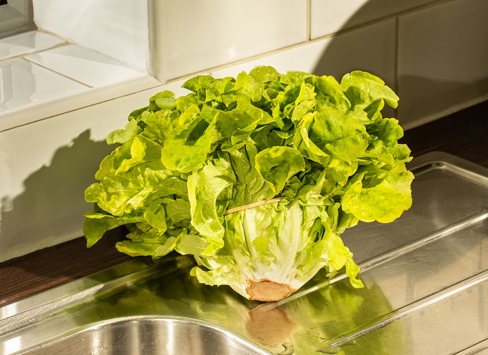 A decorative image from Usal Project