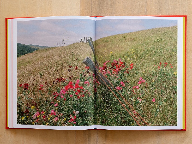 A decorative image from Usal Project