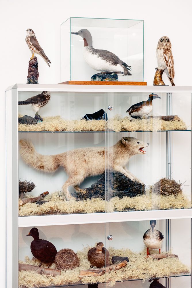 A decorative image from Usal Project