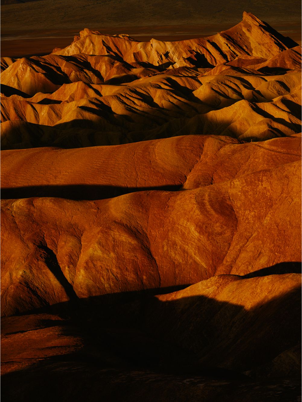 A decorative image from Usal Project