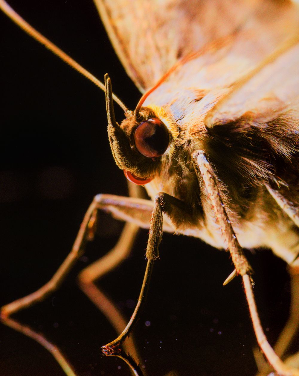 A decorative image from Usal Project