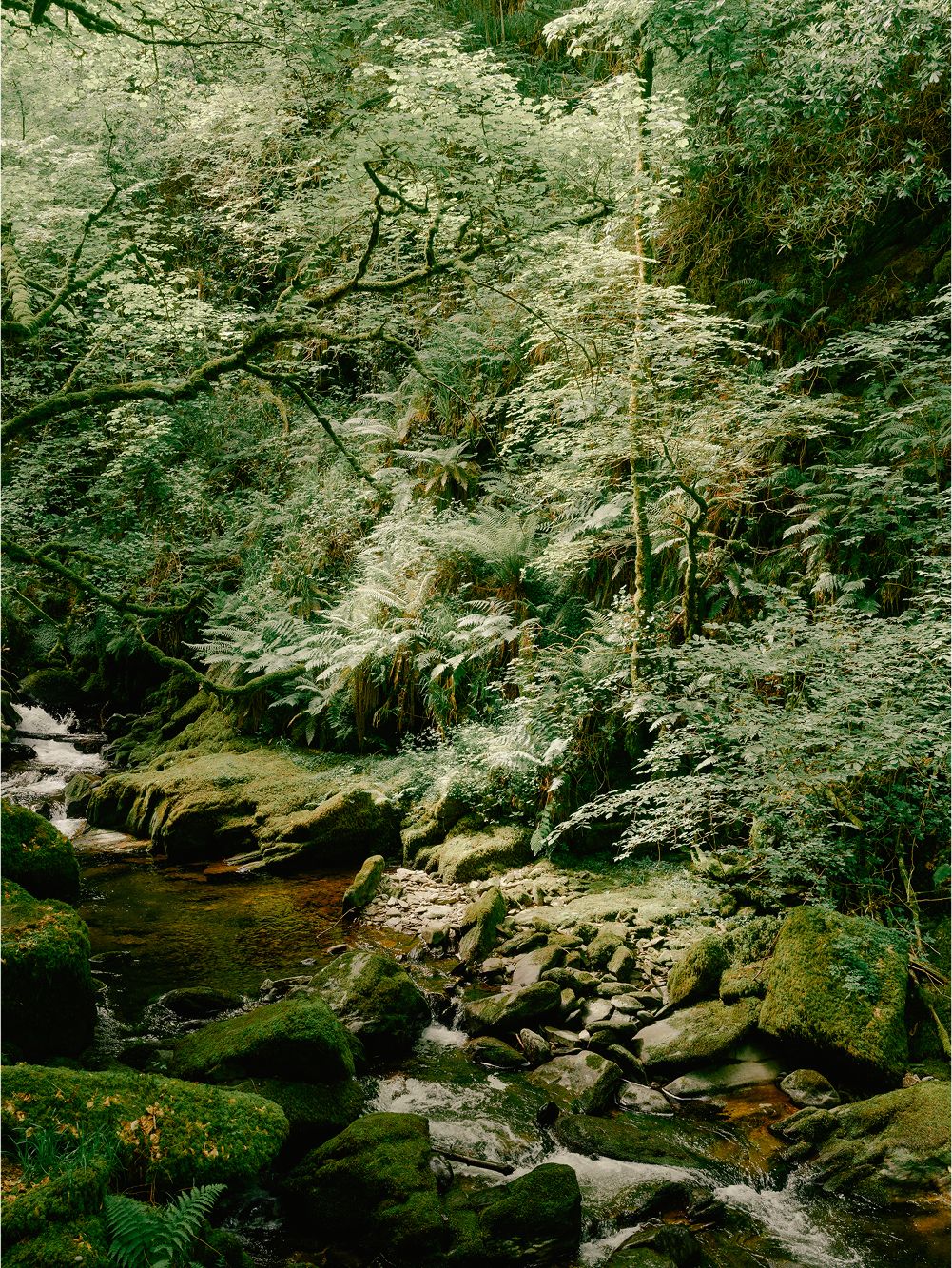 A decorative image from Usal Project