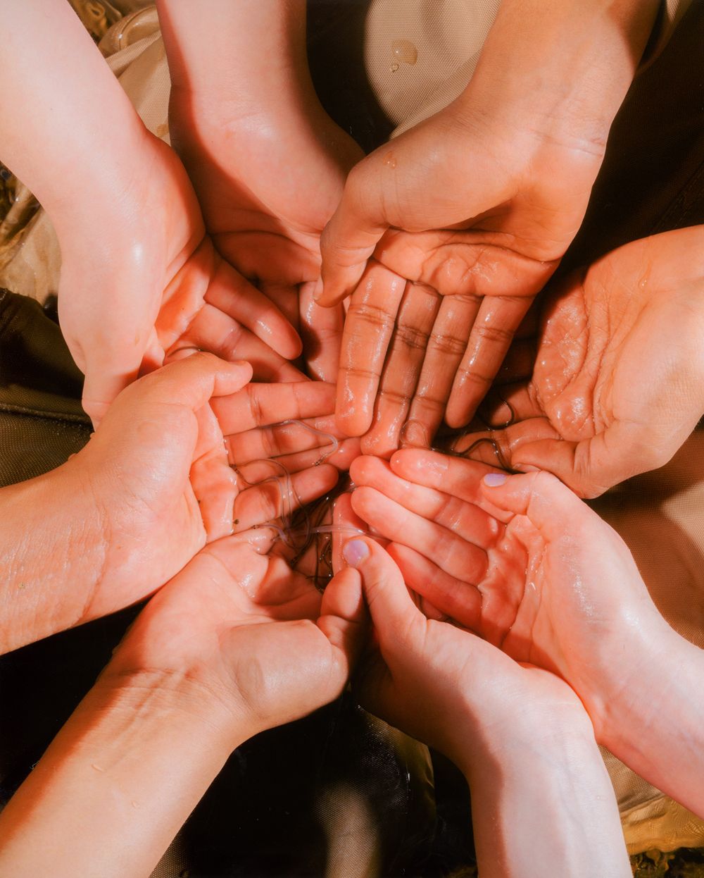 A decorative image from Usal Project