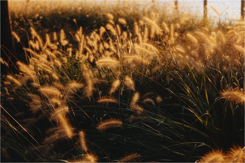 A decorative image from Usal Project