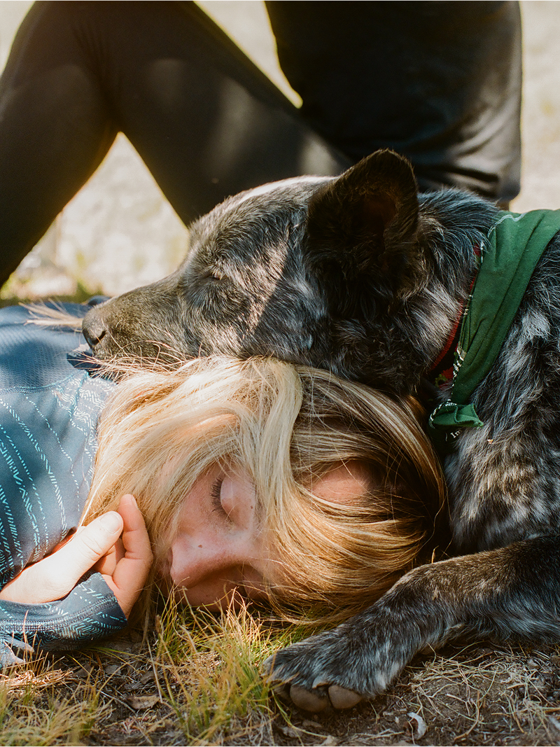 A decorative image from Usal Project