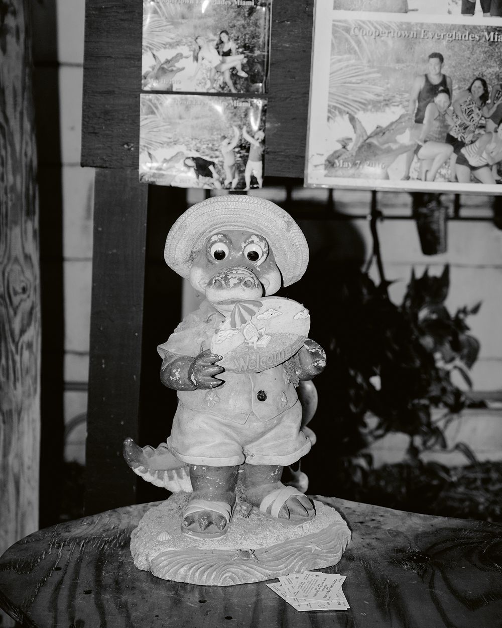 A decorative image from Usal Project