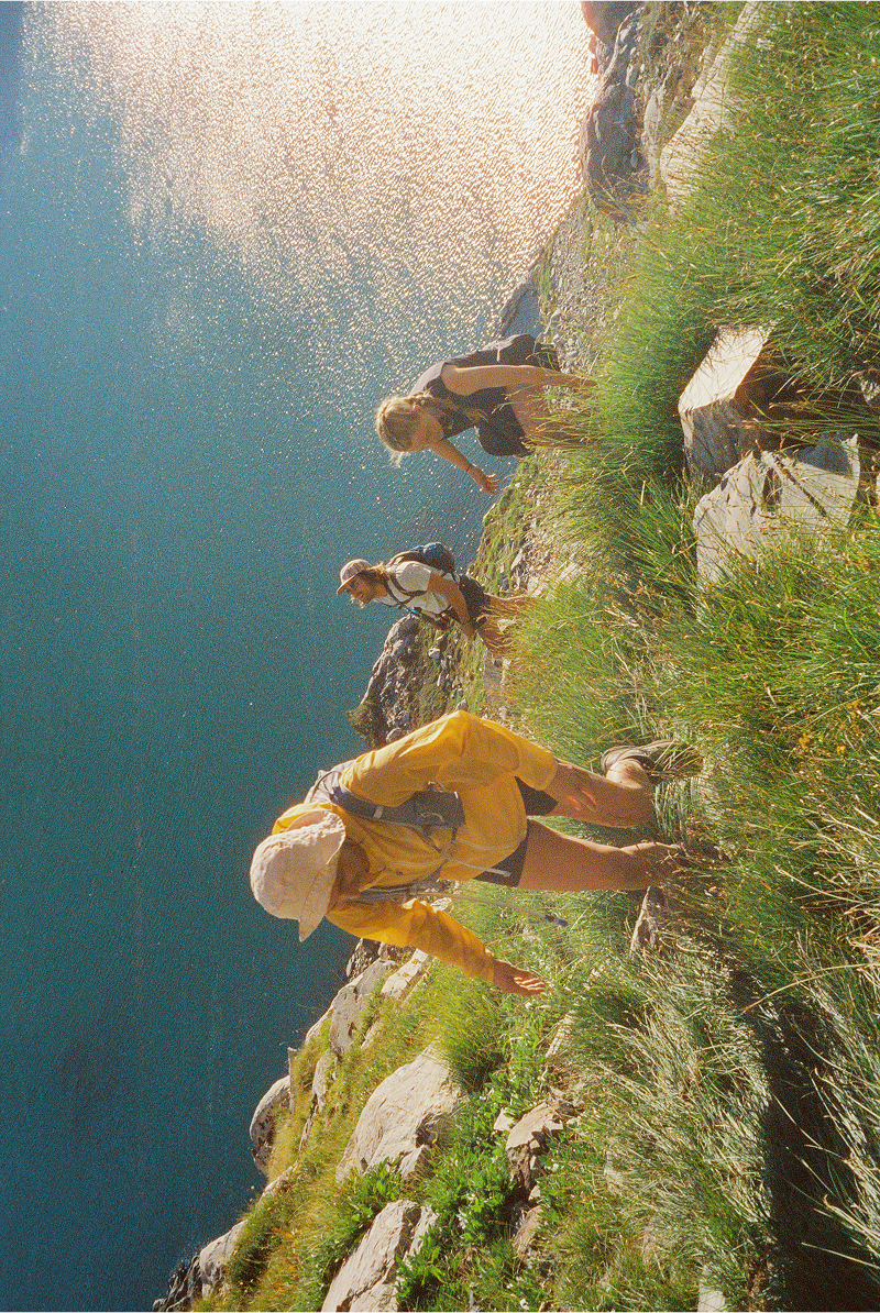 A decorative image from Usal Project