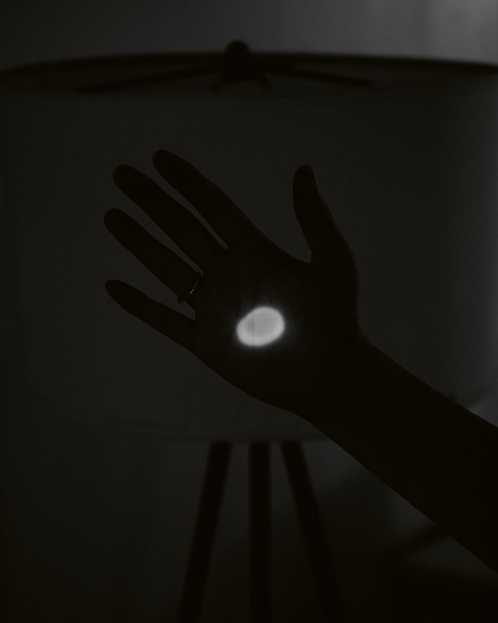 A decorative image from Usal Project