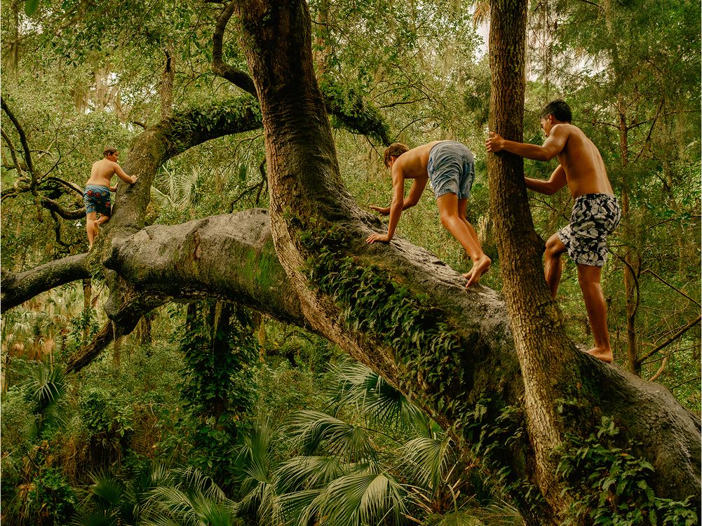 A decorative image from Usal Project