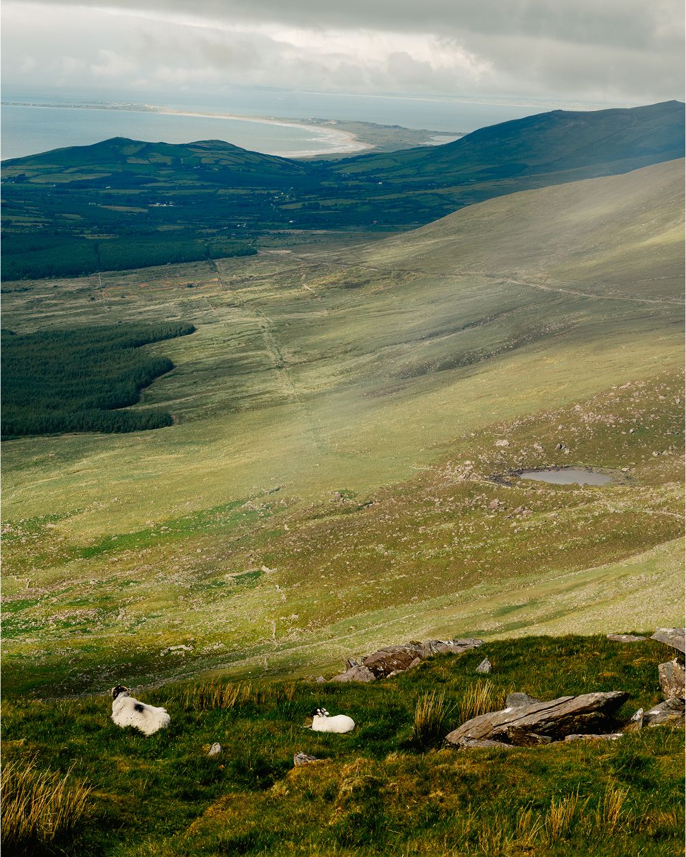 A decorative image from Usal Project