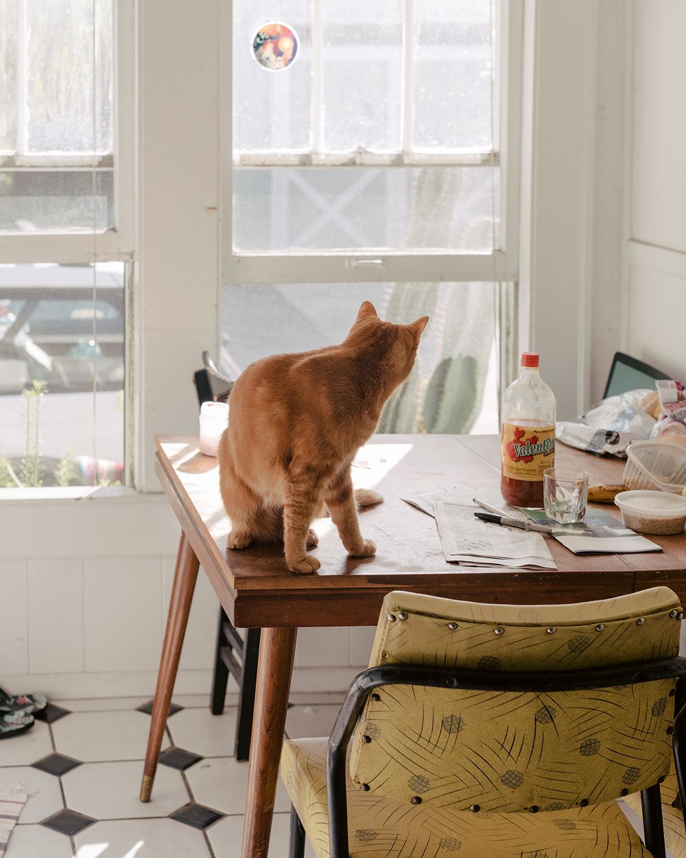 A decorative image from Usal Project