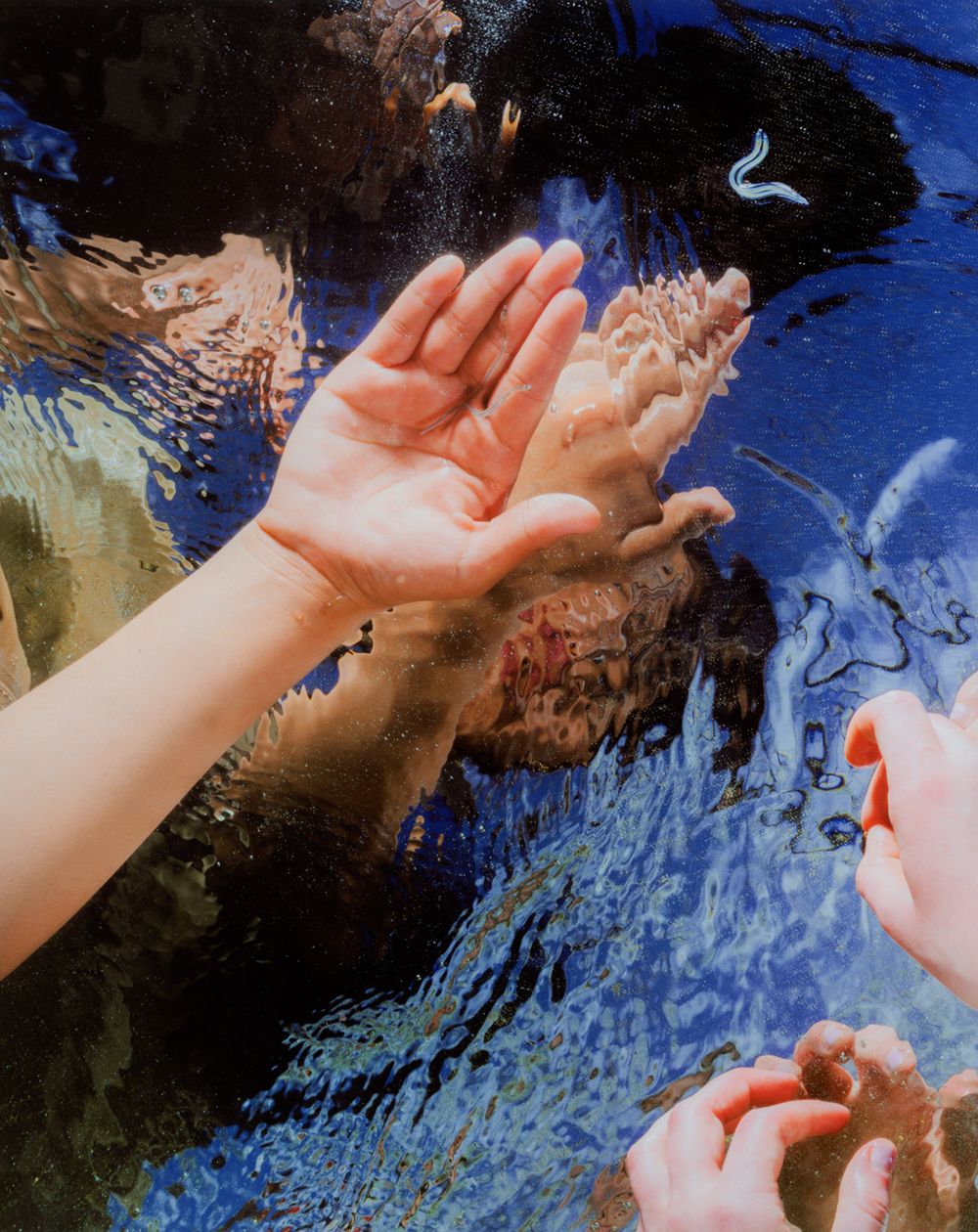 A decorative image from Usal Project