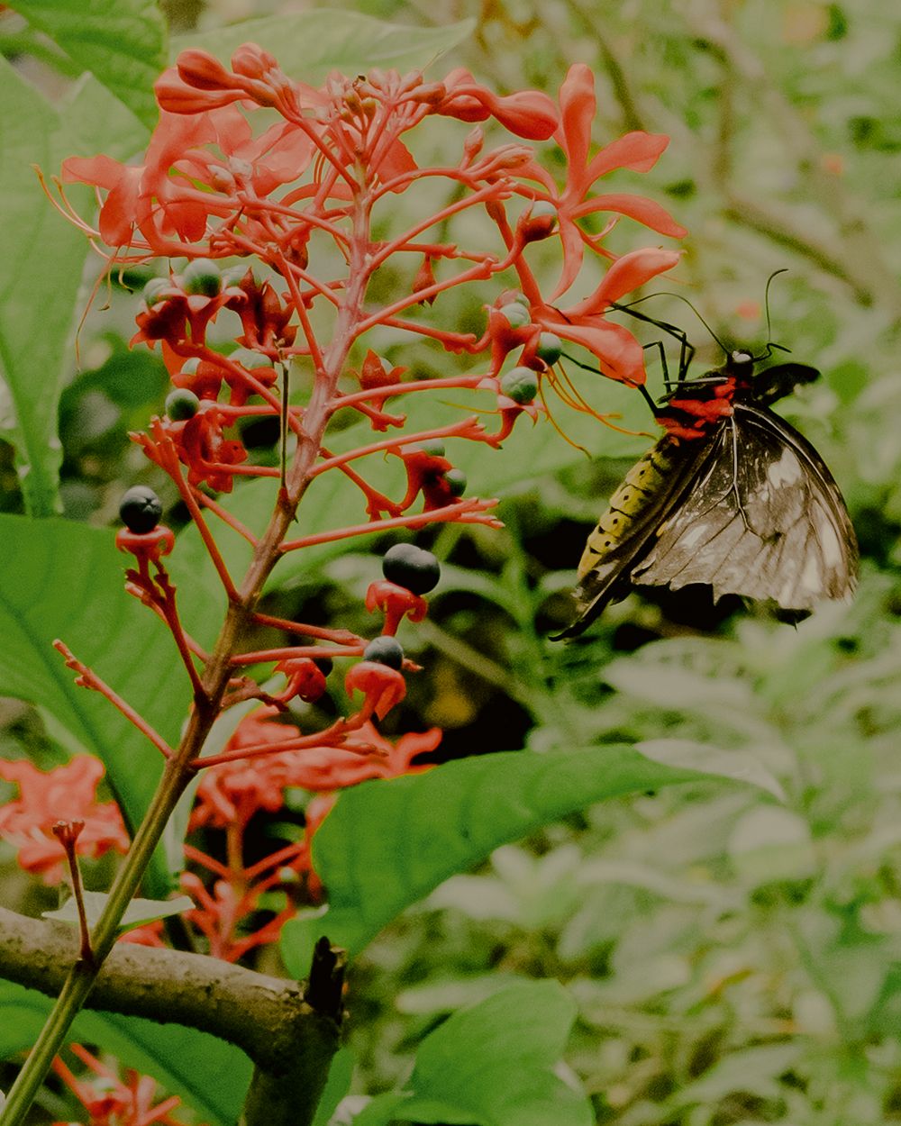 A decorative image from Usal Project