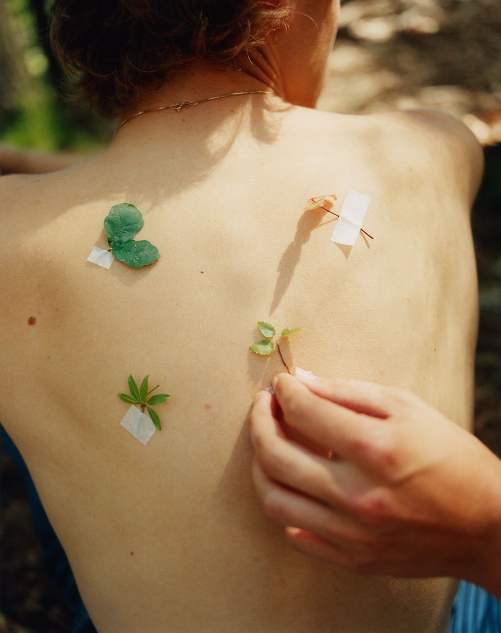 A decorative image from Usal Project