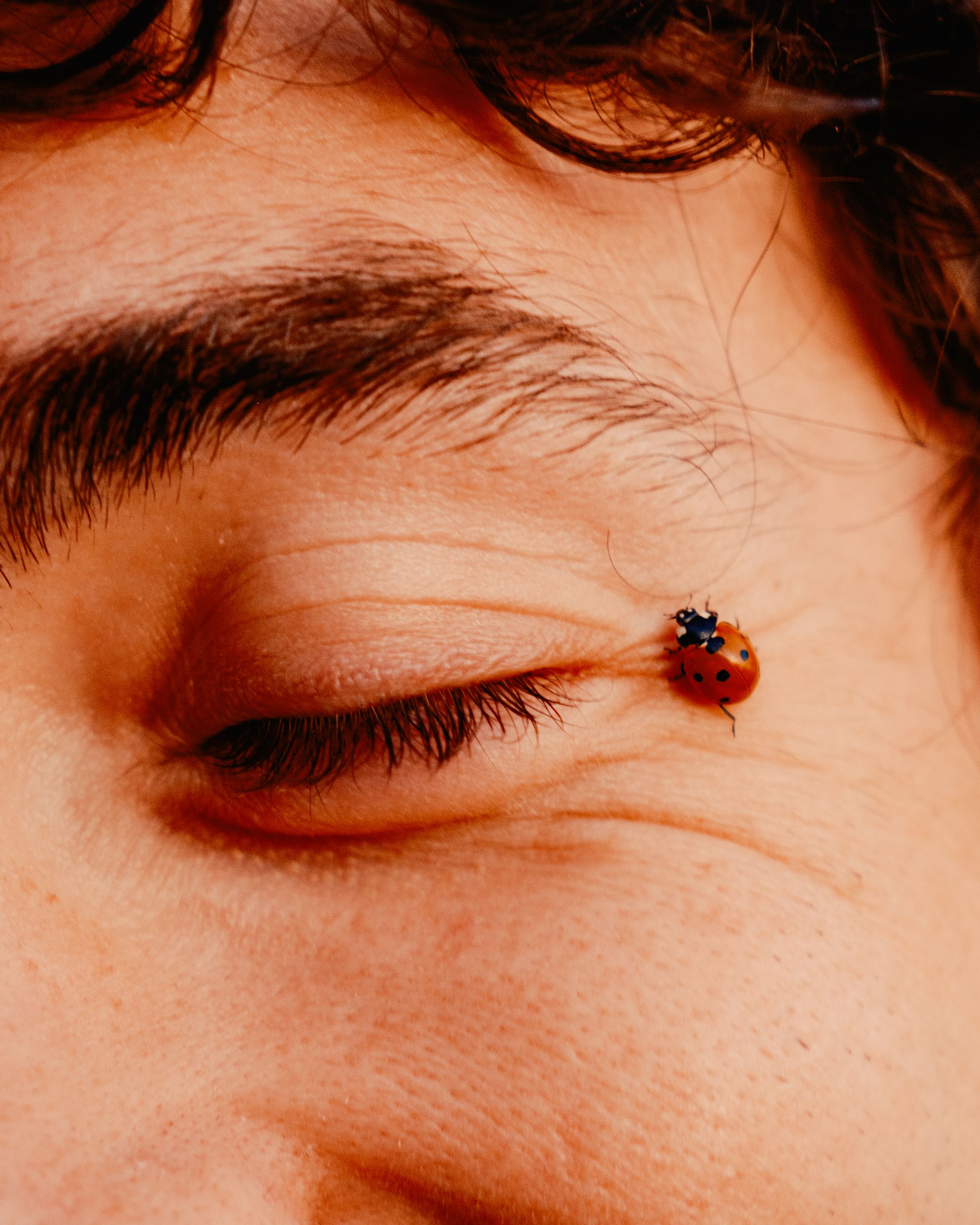 Daniel Dorsa - A decorative image from Usal Project