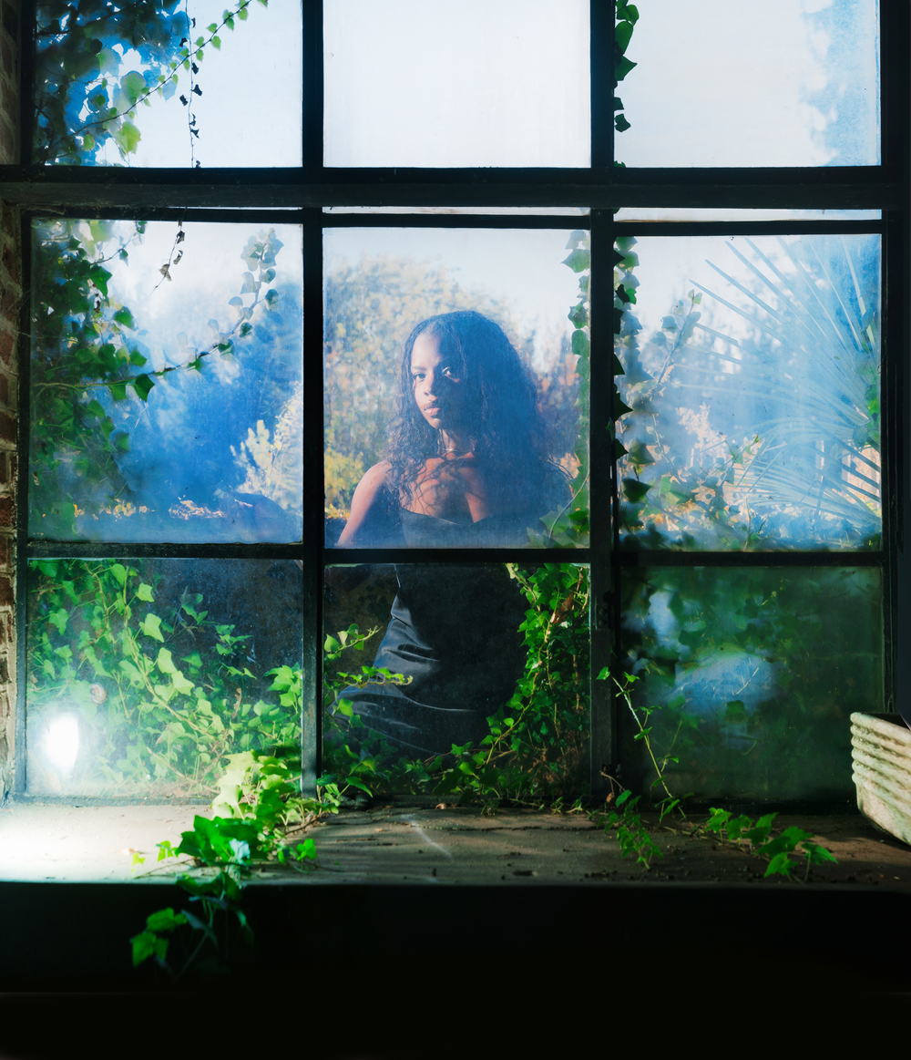 A decorative image from Usal Project