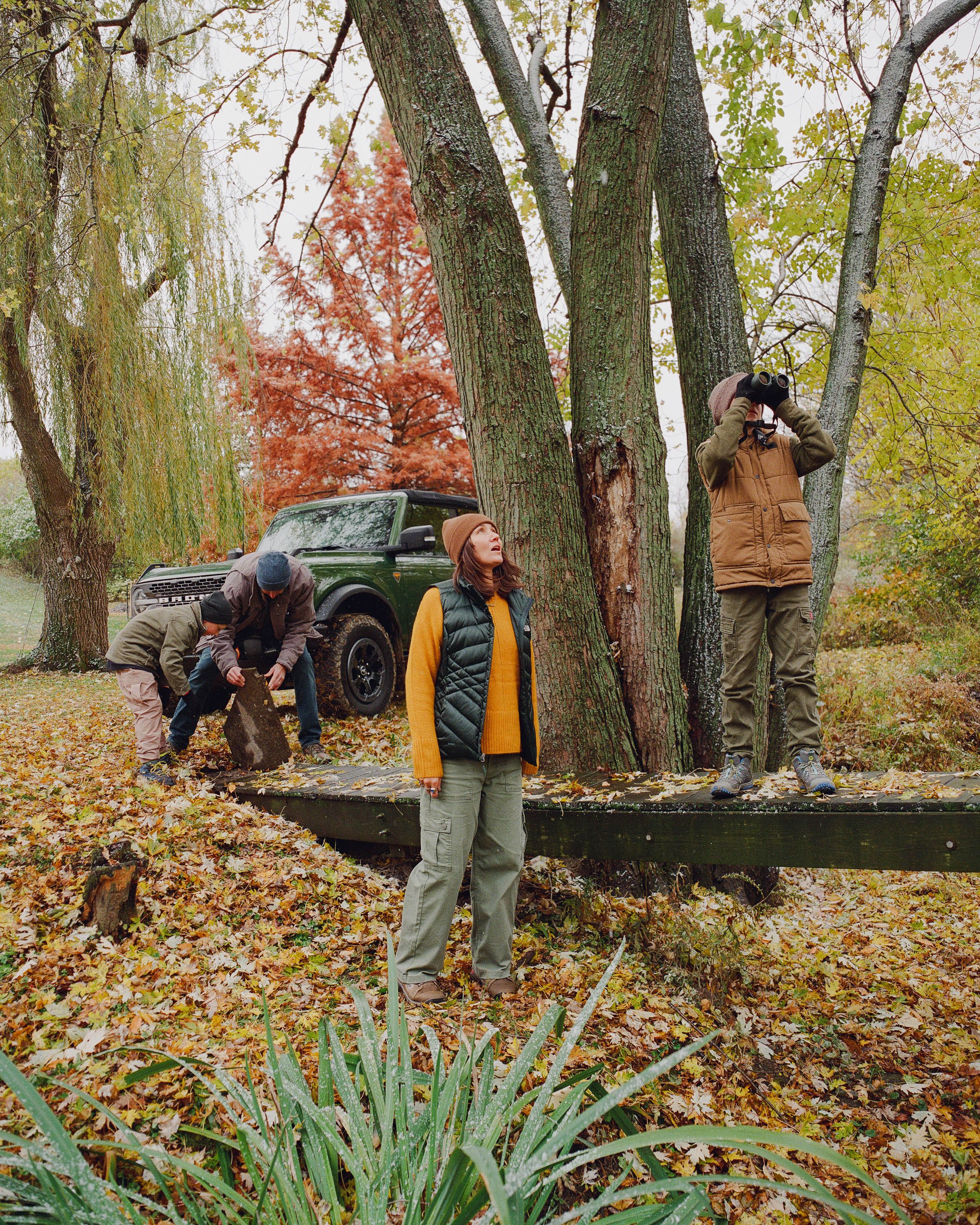 A decorative image from Usal Project