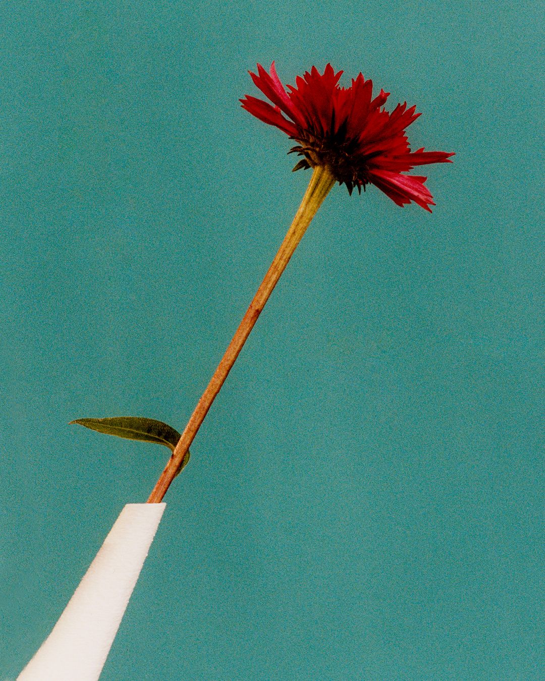 A decorative image from Usal Project