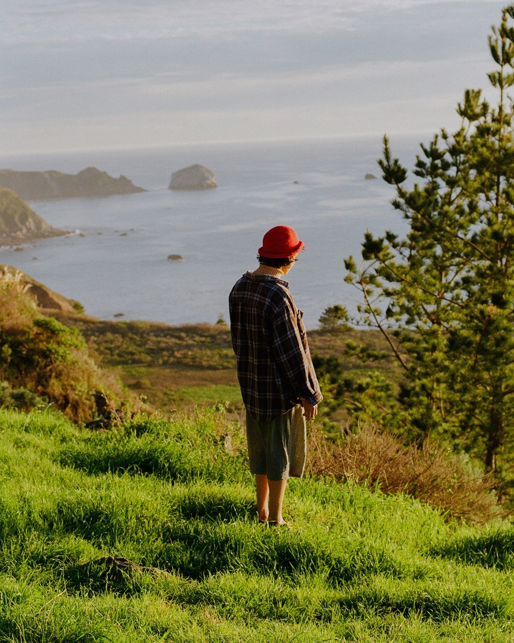 A decorative image from Usal Project