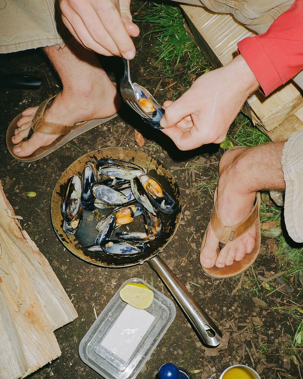 A decorative image from Usal Project