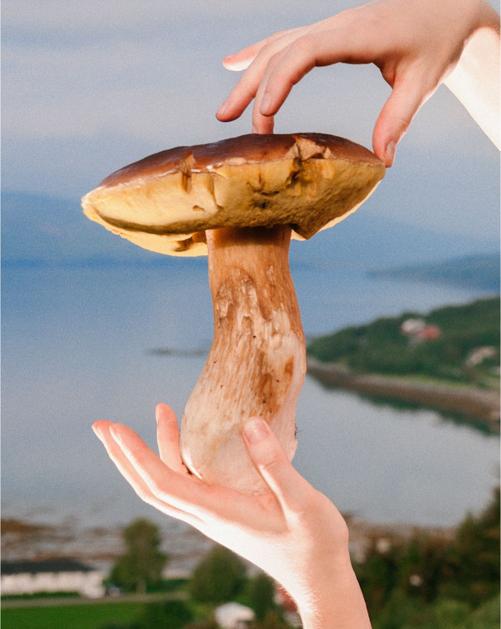 A decorative image from Usal Project