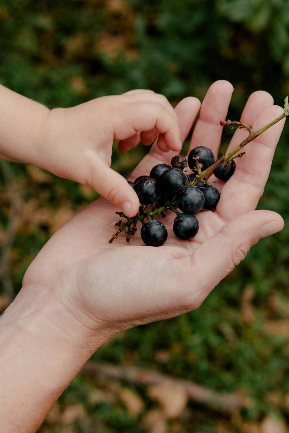 A decorative image from Usal Project