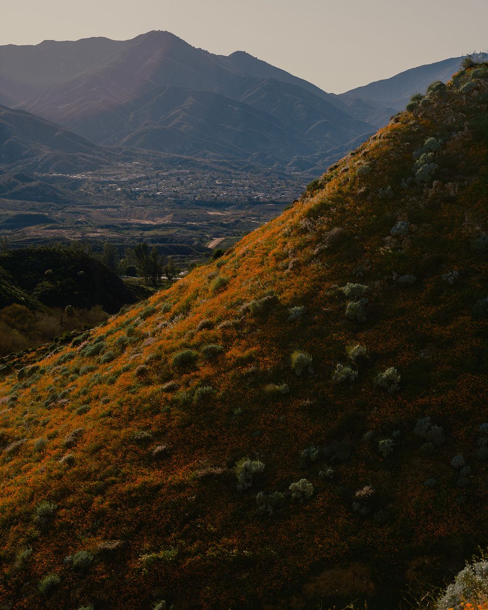 A decorative image from Usal Project