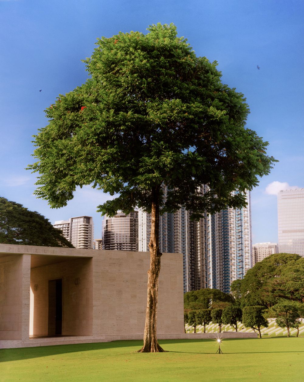 A decorative image from Usal Project